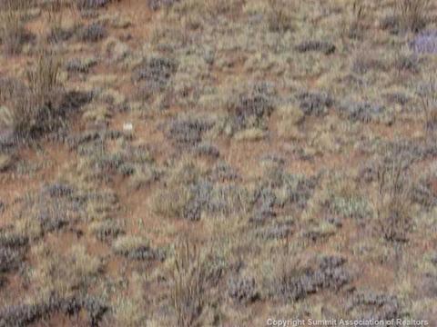 1481 Remington Rd, Como, CO 80432 photo 2