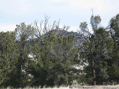 103 Smith And Wesson Rd, Como, CO 80432 photo 8