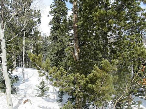 103 Smith And Wesson Rd, Como, CO 80432 photo 1