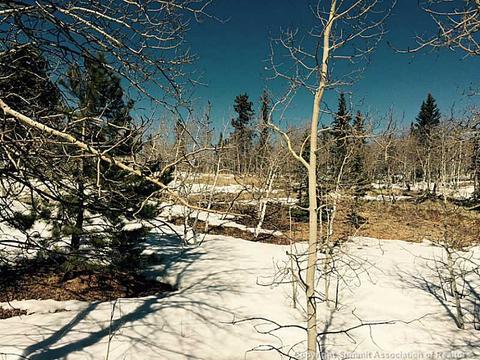 453 Pueblo Dr, Como, CO 80432 photo 2