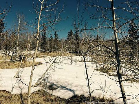 453 Pueblo Dr, Como, CO 80432 photo 9