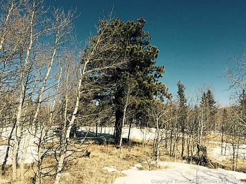 453 Pueblo Dr, Como, CO 80432 photo 5