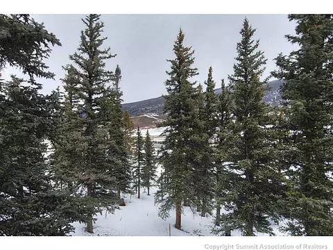 86 Guyot Ln, Dillon, CO 80435 photo 8