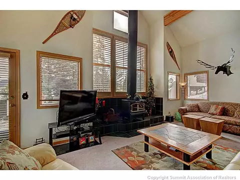 86 Guyot Ln, Dillon, CO 80435 photo 6