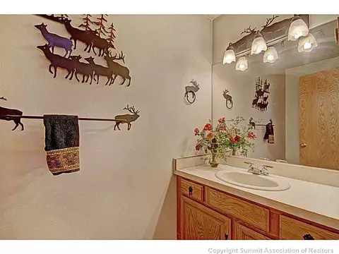 86 Guyot Ln, Dillon, CO 80435 photo 15