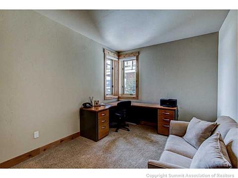 220 Stonefly Dr, Silverthorne, CO 80498 photo 21