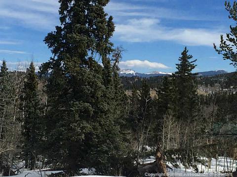 153 Ute Way, Como, CO 80432 photo 5