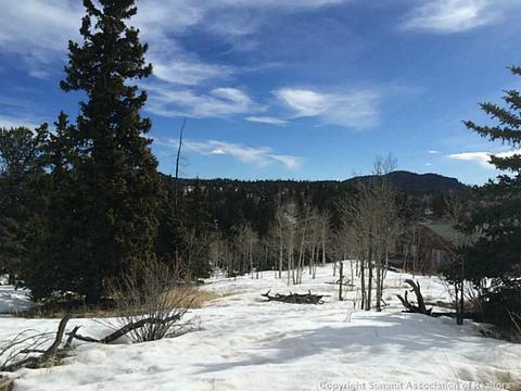 153 Ute Way, Como, CO 80432 photo 4