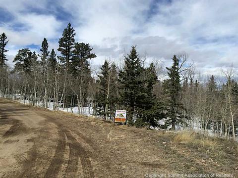 153 Ute Way, Como, CO 80432 photo 14