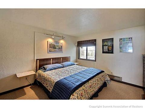 312 Lodgepole St #212, Dillon, CO 80435 photo 13