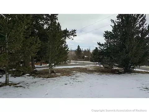 301 Pine Dr, Fairplay, CO 80440 photo 19
