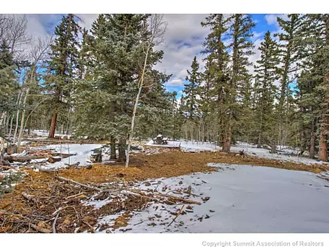 23 Chukar Ln, Como, CO 80432 photo 16