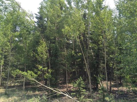 818 Pathfinder Rd, Como, CO 80432 photo 7