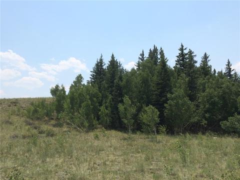 818 Pathfinder Rd, Como, CO 80432 photo 9