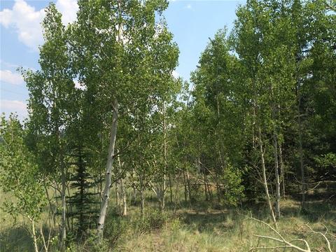 818 Pathfinder Rd, Como, CO 80432 photo 1