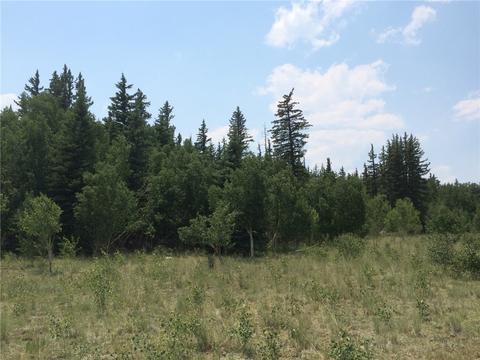 818 Pathfinder Rd, Como, CO 80432 photo 5