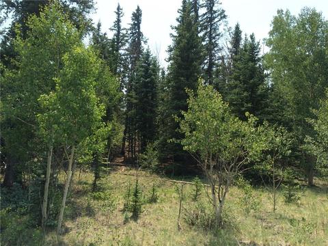 818 Pathfinder Rd, Como, CO 80432 photo 6