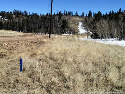 818 Pathfinder Rd, Como, CO 80432 photo 25
