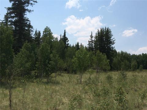818 Pathfinder Rd, Como, CO 80432 photo 8