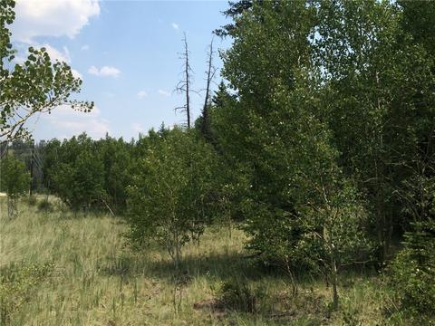 818 Pathfinder Rd, Como, CO 80432 photo 2