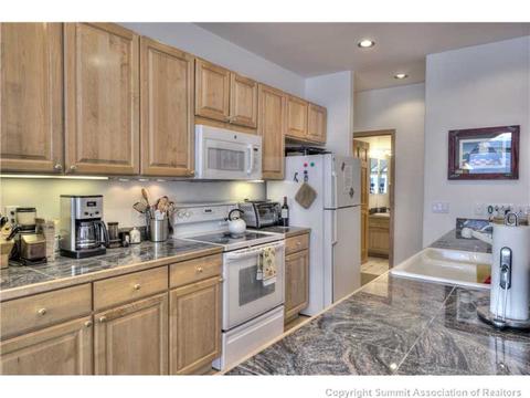 49 Tall Pines Dr #3, Breckenridge, CO 80424 photo 5