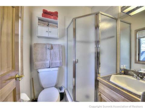 49 Tall Pines Dr #3, Breckenridge, CO 80424 photo 19
