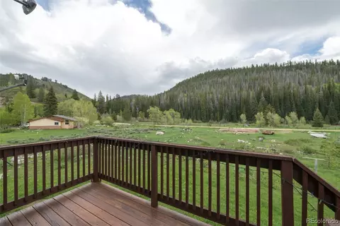 29085 River Dr, Clark, CO 80428 photo 12