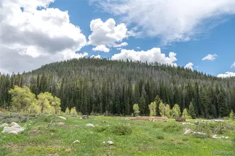29085 River Dr, Clark, CO 80428 photo 15