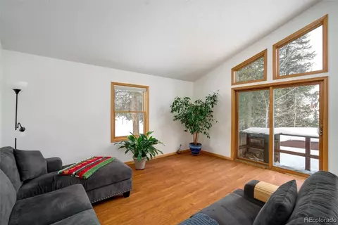 29170 River Dr, Clark, CO 80428 photo 6