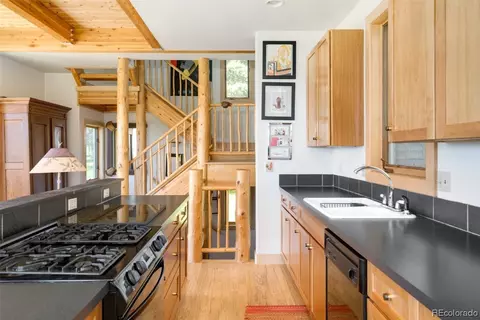 59180 Button Willow Dr, Clark, CO 80428 photo 16