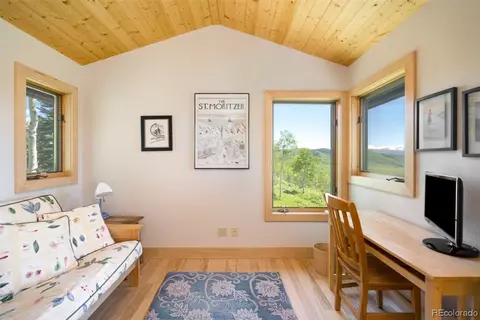 59180 Button Willow Dr, Clark, CO 80428 photo 22
