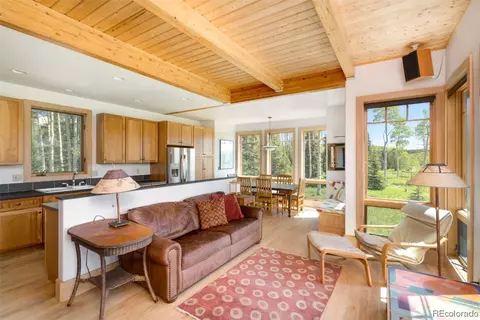59180 Button Willow Dr, Clark, CO 80428 photo 18
