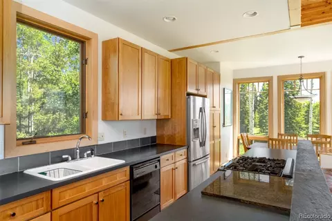 59180 Button Willow Dr, Clark, CO 80428 photo 11