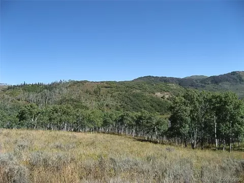 55845 Olive St, Clark, CO 80428