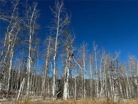 26865 Linda Kay Pl, Clark, CO 80428