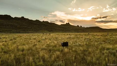 000 Cr 109, Craig, CO 81625