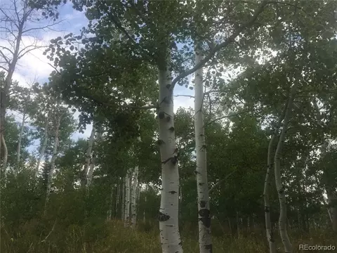 57945 Jupiter Pl, Clark, CO 80428 photo 4