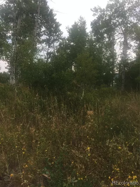 57945 Jupiter Pl, Clark, CO 80428 photo 2