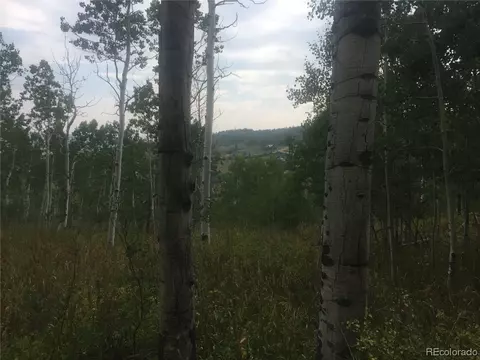 57945 Jupiter Pl, Clark, CO 80428 photo 3