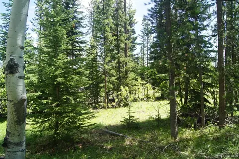 39385 Leeward Ln, Clark, CO 80428 photo 5