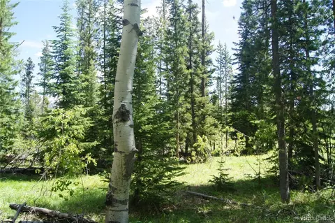 39385 Leeward Ln, Clark, CO 80428 photo 6