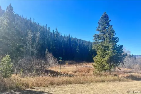 56720 Lupine Ct, Clark, CO 80428 photo 4