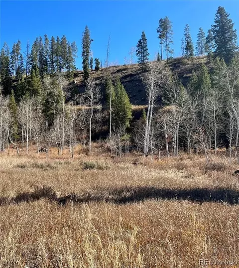 56720 Lupine Ct, Clark, CO 80428 photo 5