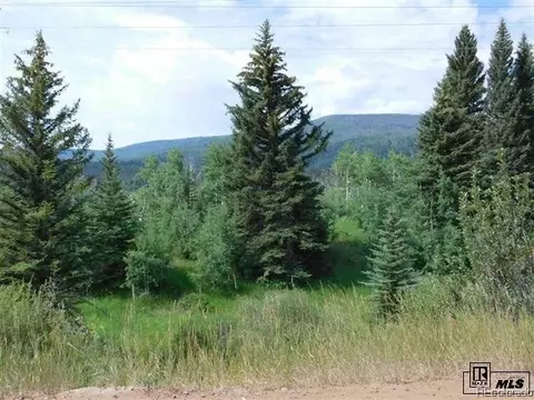 32491 Ute Trl, Oak Creek, CO 80467