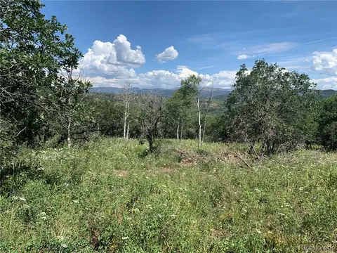 56200 Olive St, Clark, CO 80428 photo 2