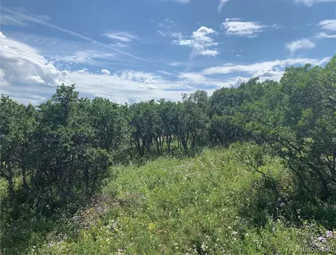 56200 Olive St, Clark, CO 80428 photo 3