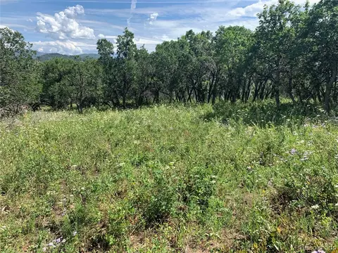 56200 Olive St, Clark, CO 80428 photo 4