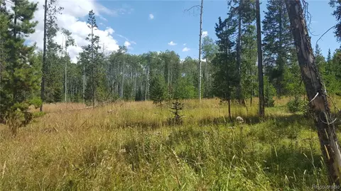 59165 Button Willow Dr, Clark, CO 80428 photo 3