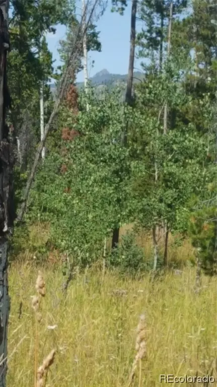 59165 Button Willow Dr, Clark, CO 80428 photo 6