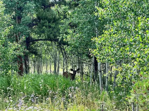 33020 Colt Trl, Oak Creek, CO 80467